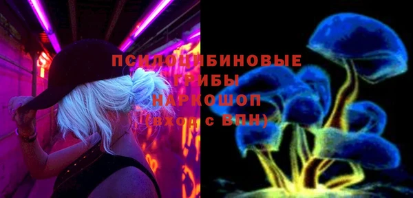 прущие грибы Нягань