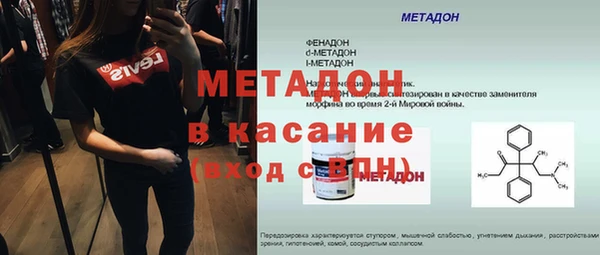 прущие грибы Нягань