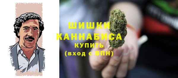 ГАЛЛЮЦИНОГЕННЫЕ ГРИБЫ Няндома