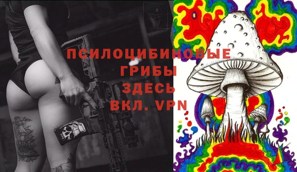 прущие грибы Нягань