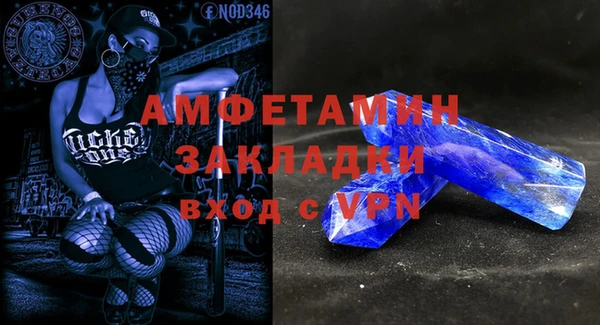 ГАЛЛЮЦИНОГЕННЫЕ ГРИБЫ Няндома