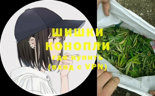 ГАЛЛЮЦИНОГЕННЫЕ ГРИБЫ Няндома