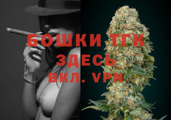 прущие грибы Нягань
