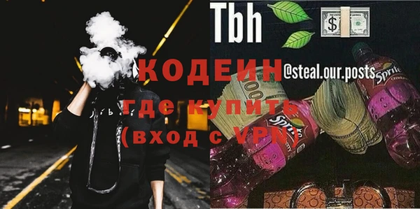 прущие грибы Нягань