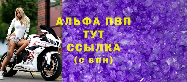 прущие грибы Нягань
